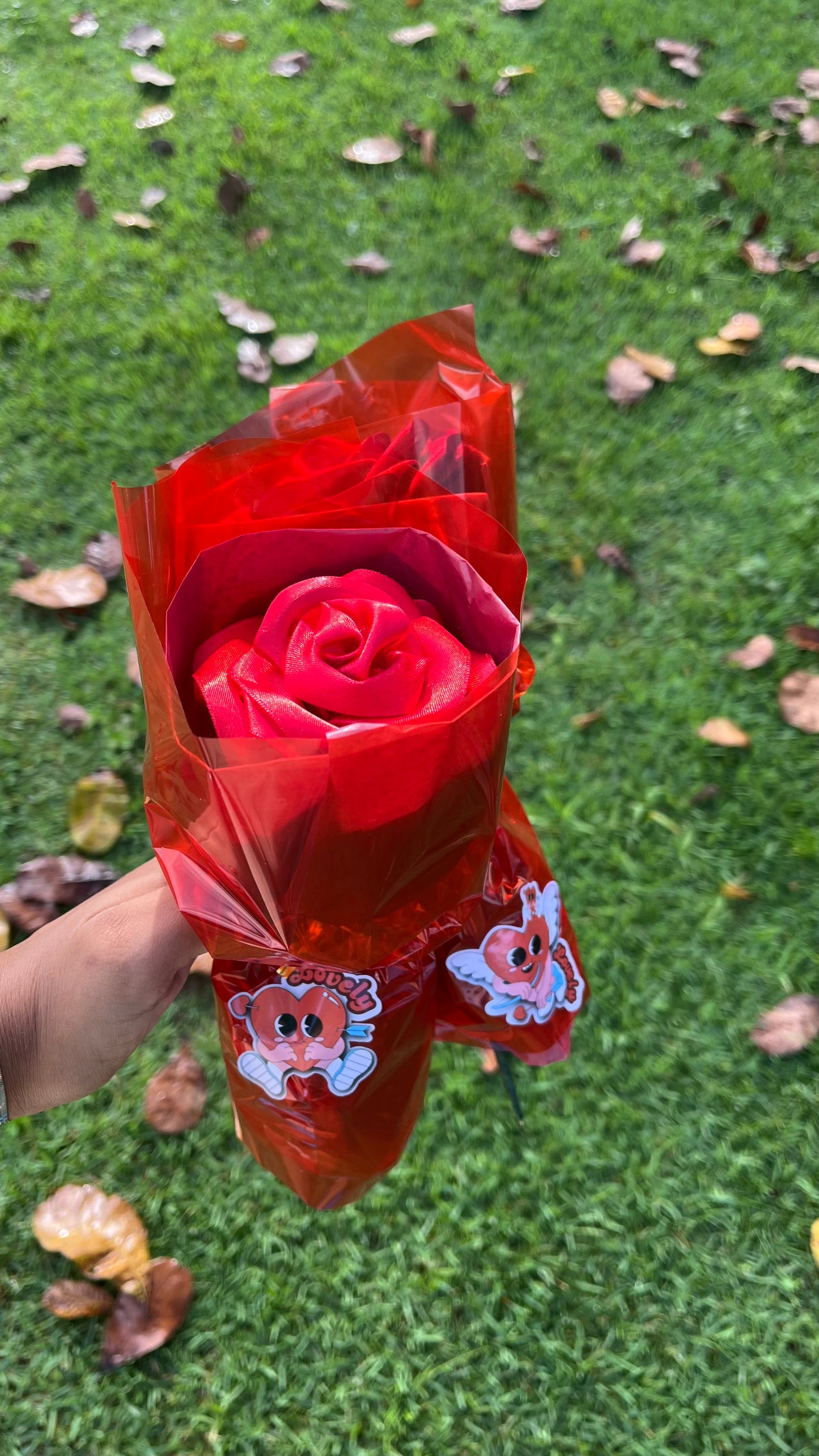 Rosa eterna Lovely