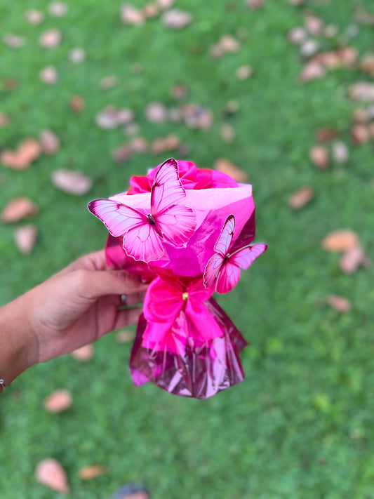 Rosa eterna  Lovely Delicata