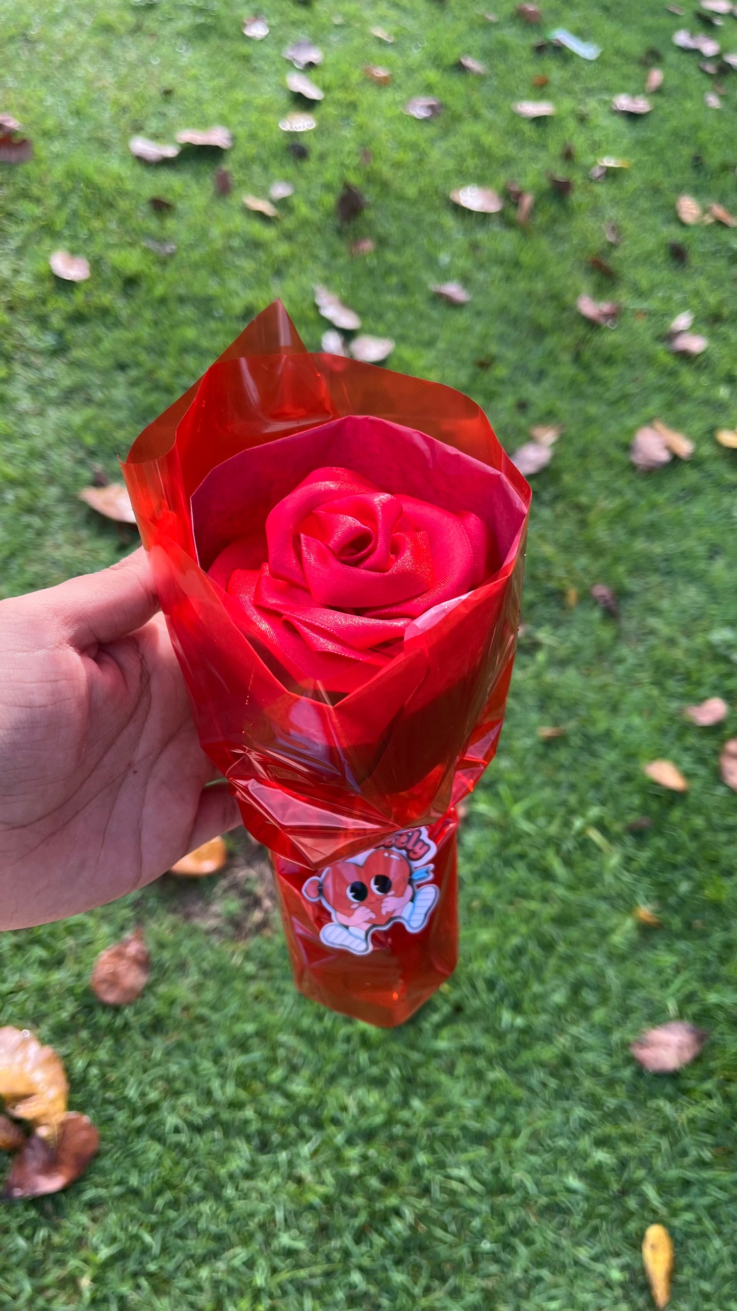 Rosa eterna Lovely