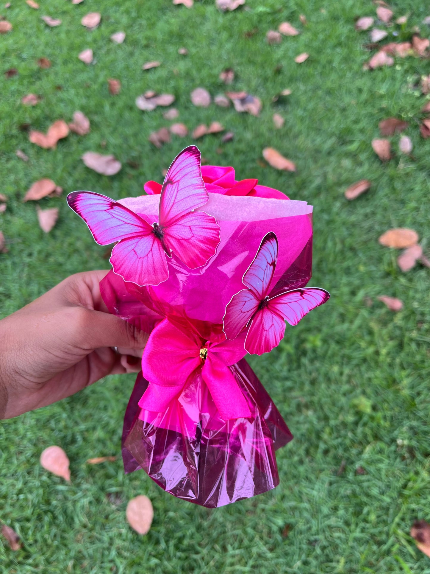 Rosa eterna  Lovely Delicata