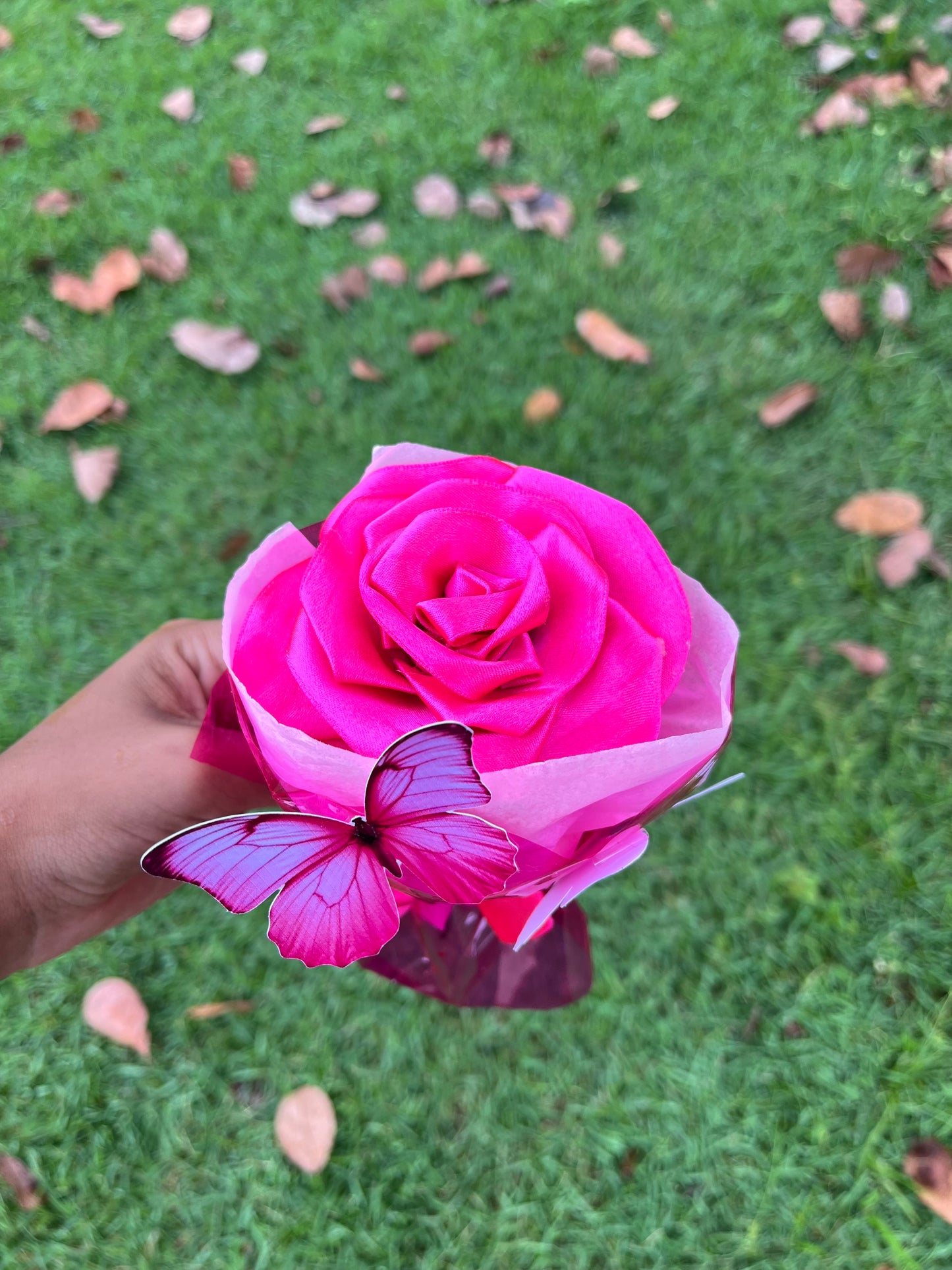 Rosa eterna  Lovely Delicata