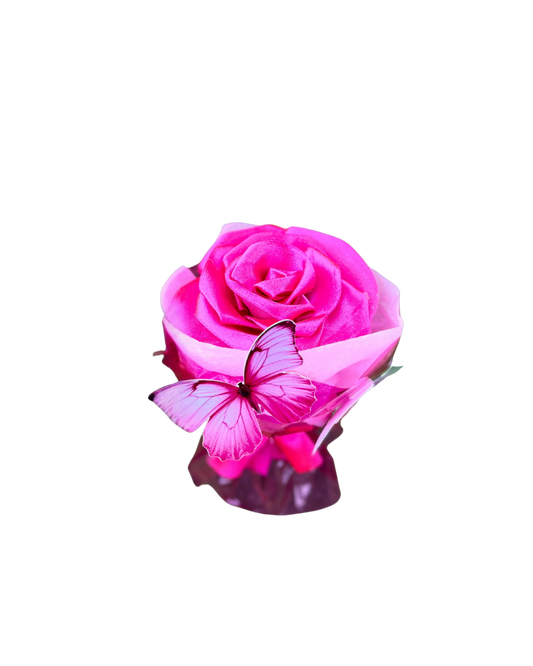 Rosa eterna  Lovely Delicata