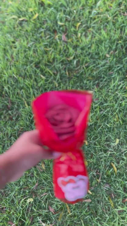 Rosa eterna Lovely Glow